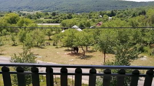 Farma & Apartmani Opg Sasa Delic Korenica Exteriör bild